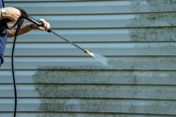 Best Sidewalk and Walkway Cleaning  in Wahese, NC